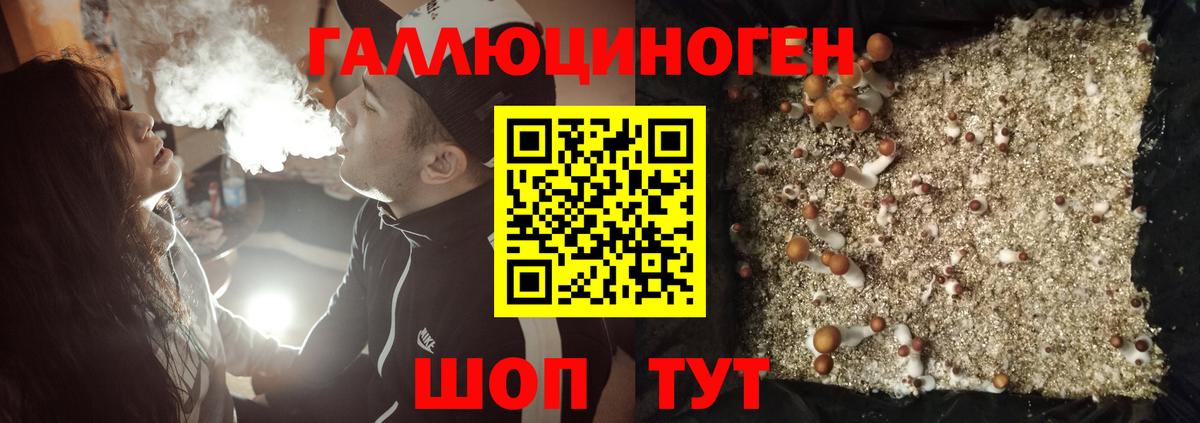 Псилоцибиновые грибы ЛСД Анапа