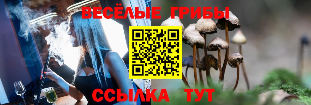 Псилоцибиновые грибы Cubensis  Вход с VPN  Анапа  Псилоцибиновые грибы мухоморы 